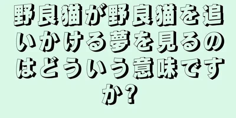 野良猫が野良猫を追いかける夢を見るのはどういう意味ですか?