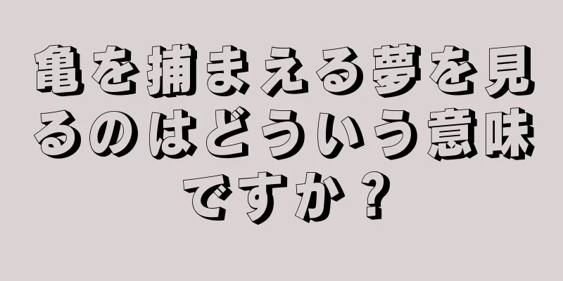 亀を捕まえる夢を見るのはどういう意味ですか？