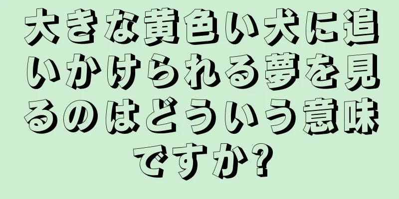大きな黄色い犬に追いかけられる夢を見るのはどういう意味ですか?