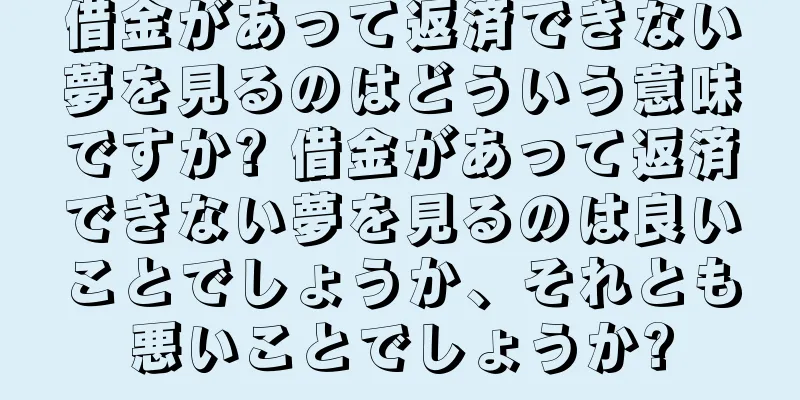 借金があって返済できない夢を見るのはどういう意味ですか? 借金があって返済できない夢を見るのは良いことでしょうか、それとも悪いことでしょうか?