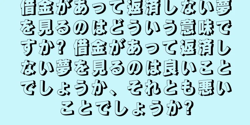 借金があって返済しない夢を見るのはどういう意味ですか? 借金があって返済しない夢を見るのは良いことでしょうか、それとも悪いことでしょうか?