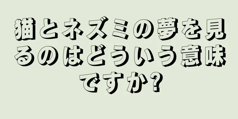 猫とネズミの夢を見るのはどういう意味ですか?