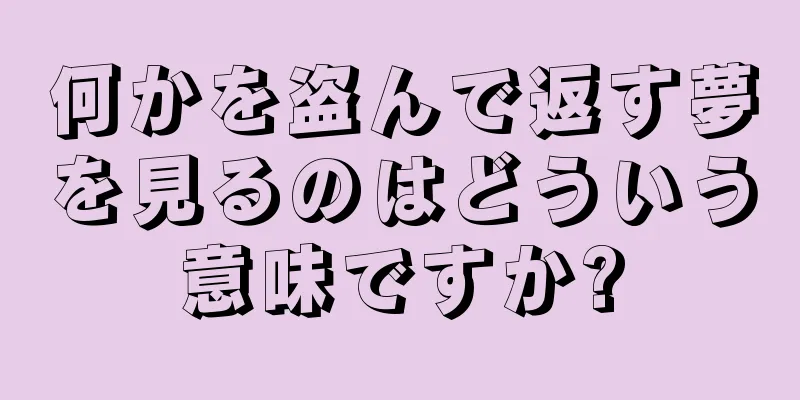 何かを盗んで返す夢を見るのはどういう意味ですか?