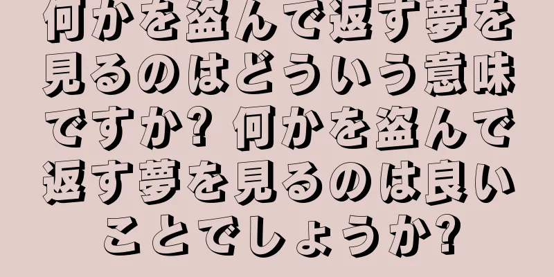 何かを盗んで返す夢を見るのはどういう意味ですか? 何かを盗んで返す夢を見るのは良いことでしょうか?
