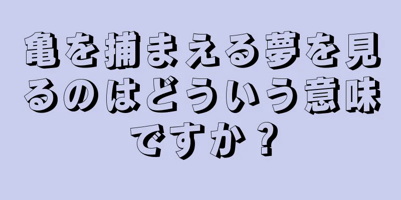 亀を捕まえる夢を見るのはどういう意味ですか？