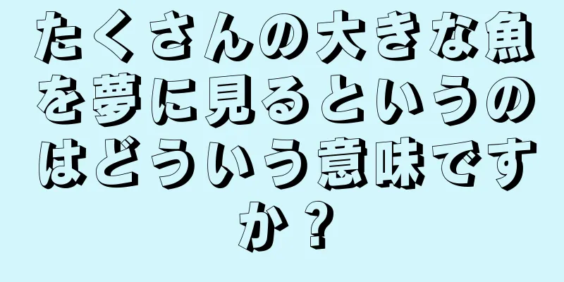 たくさんの大きな魚を夢に見るというのはどういう意味ですか？