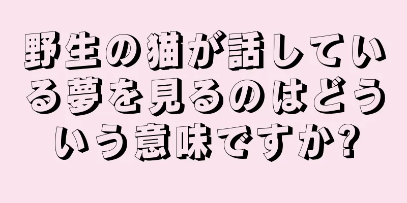 野生の猫が話している夢を見るのはどういう意味ですか?