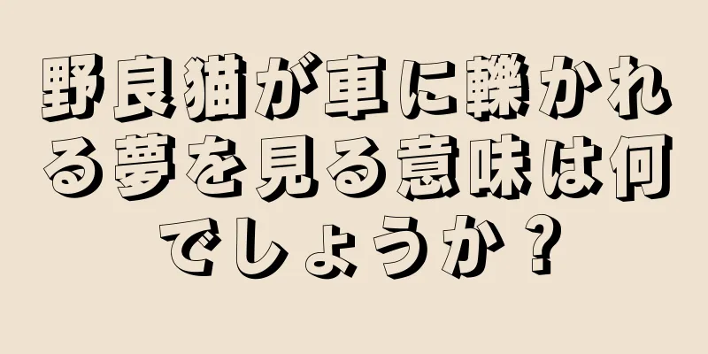 野良猫が車に轢かれる夢を見る意味は何でしょうか？