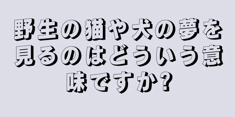 野生の猫や犬の夢を見るのはどういう意味ですか?