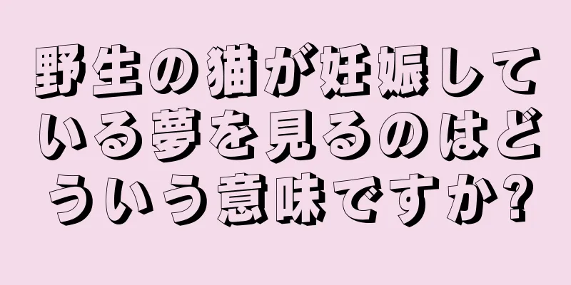 野生の猫が妊娠している夢を見るのはどういう意味ですか?