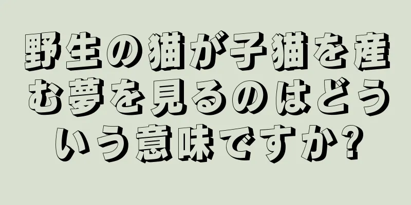 野生の猫が子猫を産む夢を見るのはどういう意味ですか?