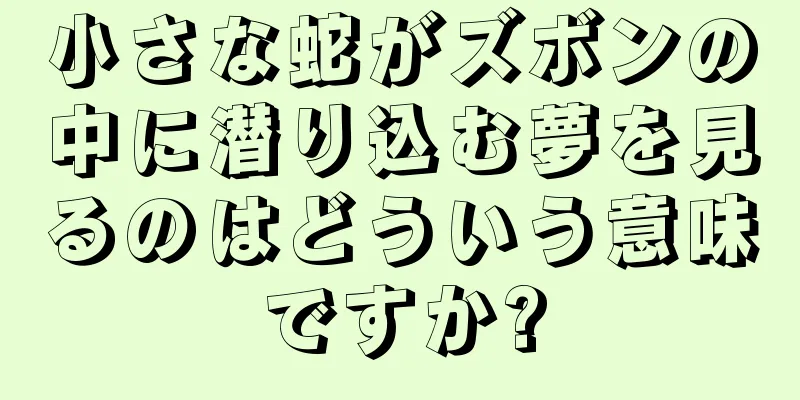 小さな蛇がズボンの中に潜り込む夢を見るのはどういう意味ですか?