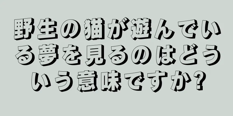野生の猫が遊んでいる夢を見るのはどういう意味ですか?