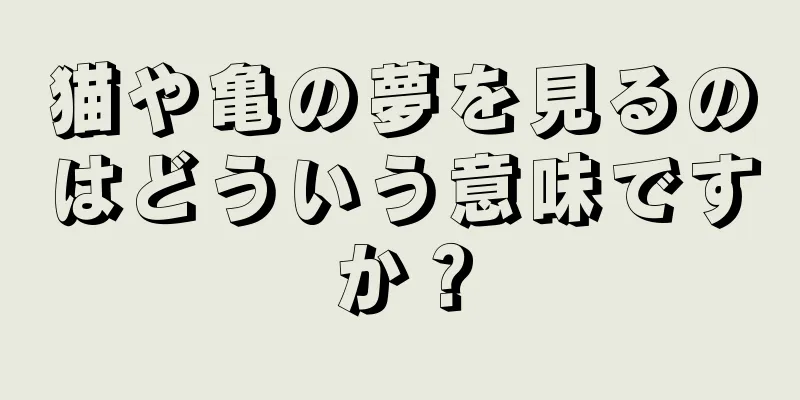 猫や亀の夢を見るのはどういう意味ですか？