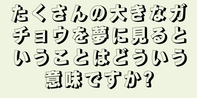 たくさんの大きなガチョウを夢に見るということはどういう意味ですか?