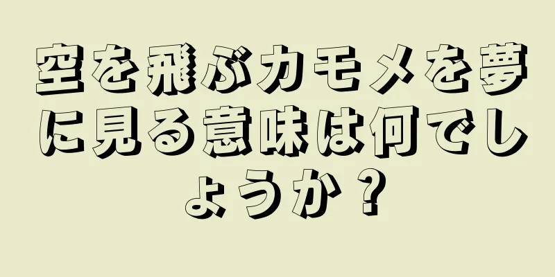 空を飛ぶカモメを夢に見る意味は何でしょうか？