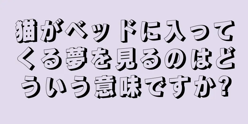 猫がベッドに入ってくる夢を見るのはどういう意味ですか?