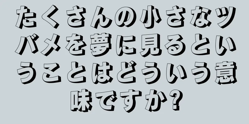 たくさんの小さなツバメを夢に見るということはどういう意味ですか?