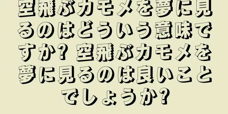 空飛ぶカモメを夢に見るのはどういう意味ですか? 空飛ぶカモメを夢に見るのは良いことでしょうか?