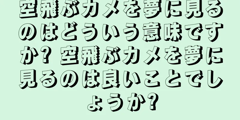 空飛ぶカメを夢に見るのはどういう意味ですか? 空飛ぶカメを夢に見るのは良いことでしょうか?