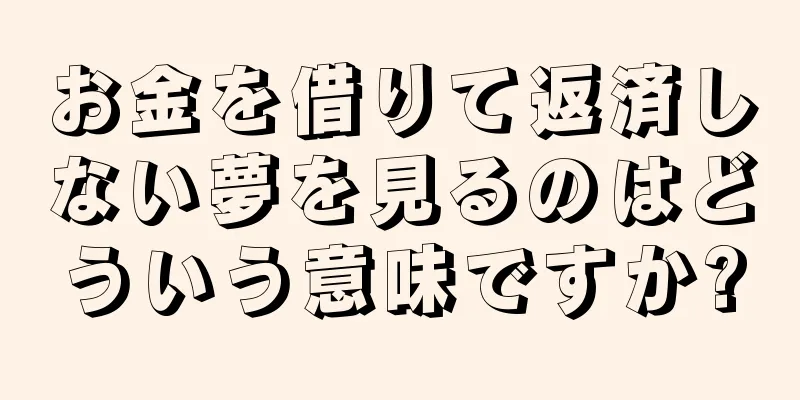 お金を借りて返済しない夢を見るのはどういう意味ですか?