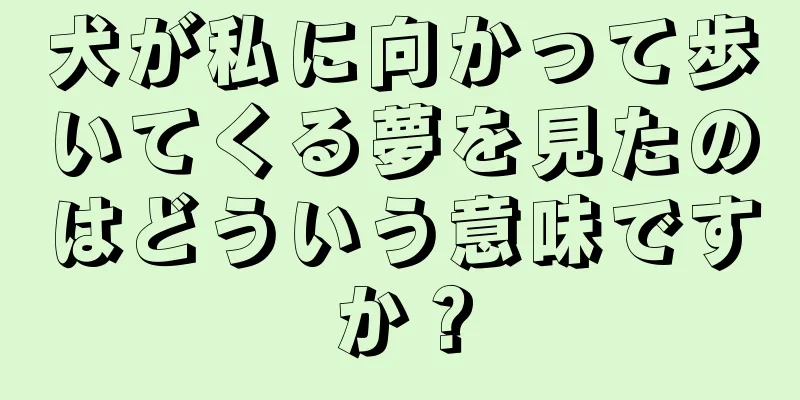 犬が私に向かって歩いてくる夢を見たのはどういう意味ですか？