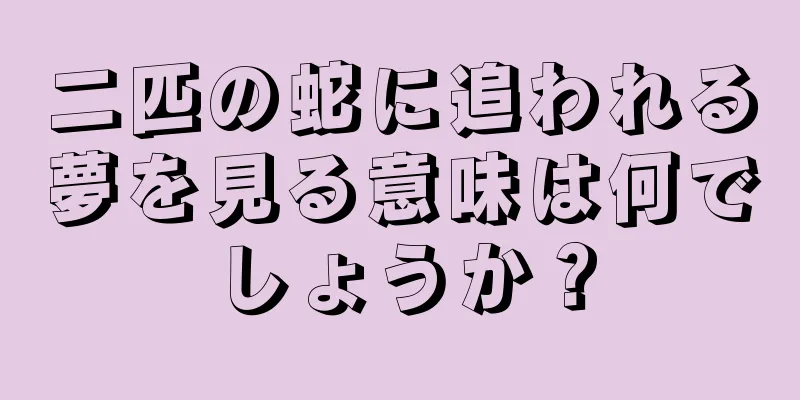 二匹の蛇に追われる夢を見る意味は何でしょうか？