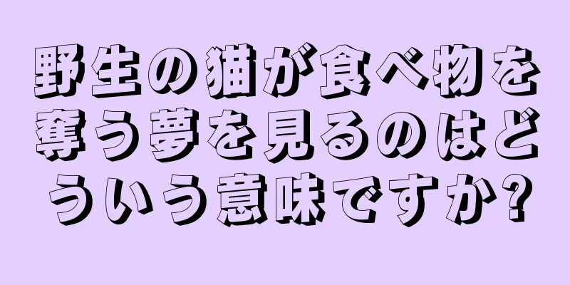 野生の猫が食べ物を奪う夢を見るのはどういう意味ですか?