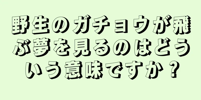 野生のガチョウが飛ぶ夢を見るのはどういう意味ですか？