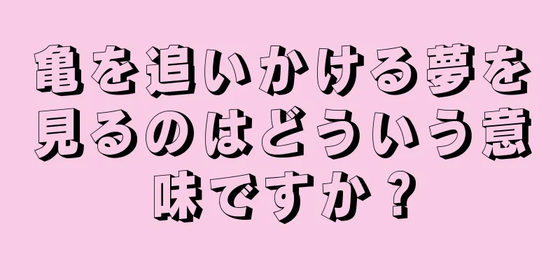 亀を追いかける夢を見るのはどういう意味ですか？