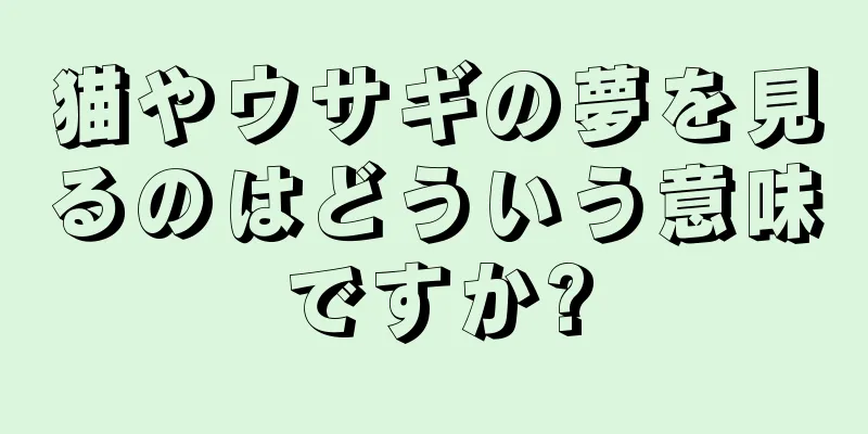 猫やウサギの夢を見るのはどういう意味ですか?