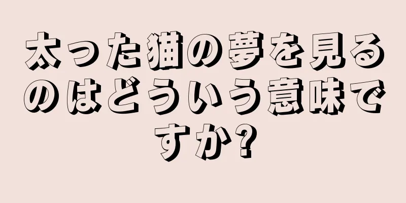 太った猫の夢を見るのはどういう意味ですか?