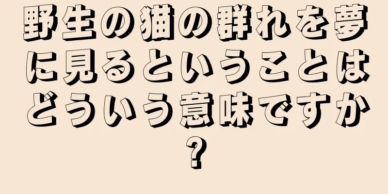 野生の猫の群れを夢に見るということはどういう意味ですか?