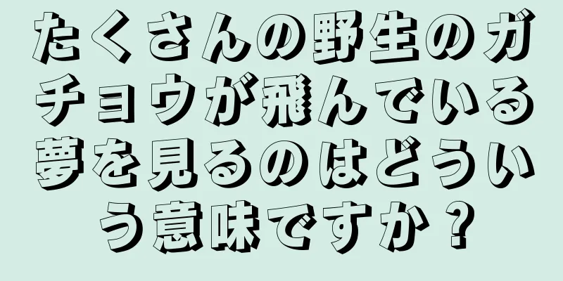 たくさんの野生のガチョウが飛んでいる夢を見るのはどういう意味ですか？