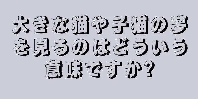 大きな猫や子猫の夢を見るのはどういう意味ですか?