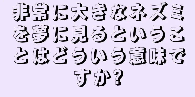 非常に大きなネズミを夢に見るということはどういう意味ですか?