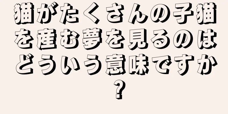 猫がたくさんの子猫を産む夢を見るのはどういう意味ですか？
