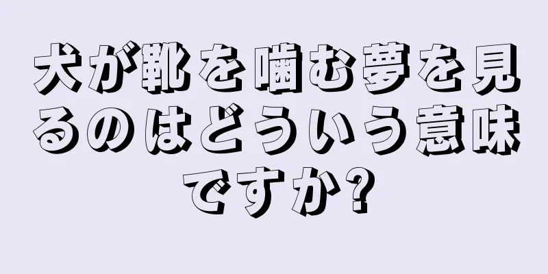 犬が靴を噛む夢を見るのはどういう意味ですか?