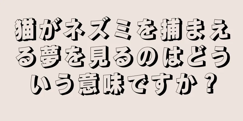 猫がネズミを捕まえる夢を見るのはどういう意味ですか？