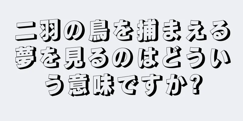 二羽の鳥を捕まえる夢を見るのはどういう意味ですか?