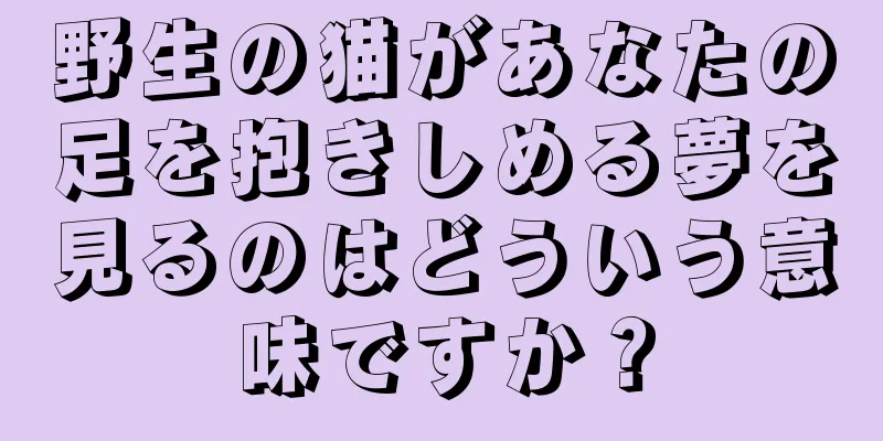 野生の猫があなたの足を抱きしめる夢を見るのはどういう意味ですか？