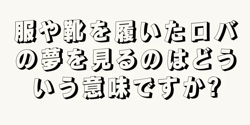 服や靴を履いたロバの夢を見るのはどういう意味ですか?