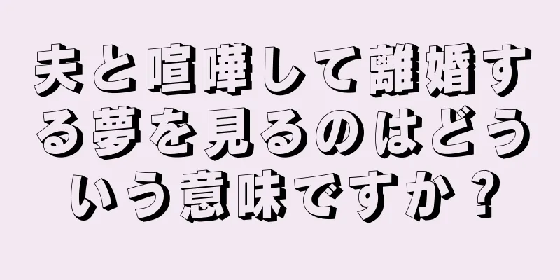 夫と喧嘩して離婚する夢を見るのはどういう意味ですか？