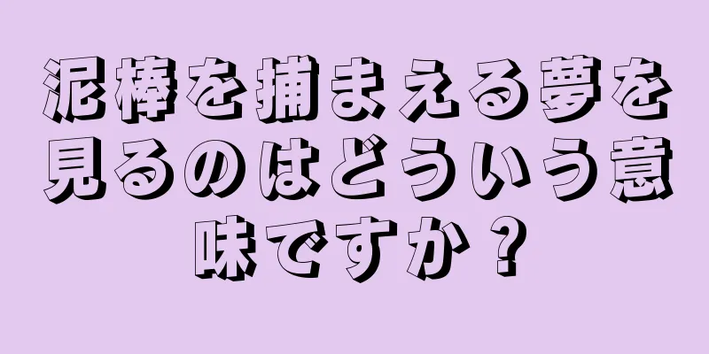 泥棒を捕まえる夢を見るのはどういう意味ですか？