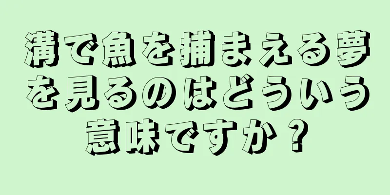 溝で魚を捕まえる夢を見るのはどういう意味ですか？
