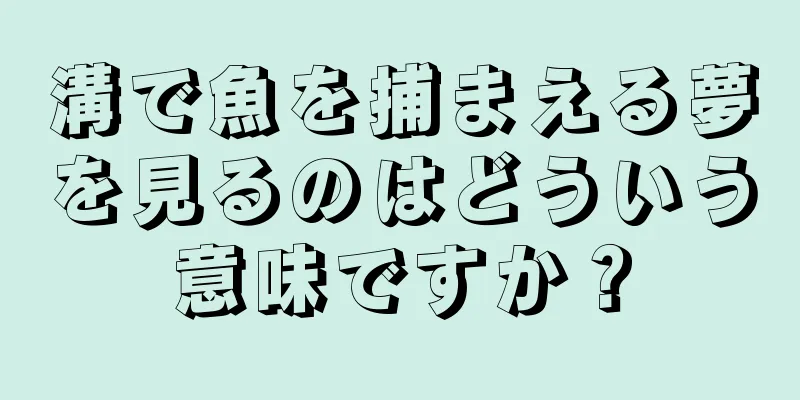 溝で魚を捕まえる夢を見るのはどういう意味ですか？