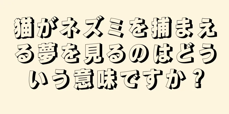 猫がネズミを捕まえる夢を見るのはどういう意味ですか？