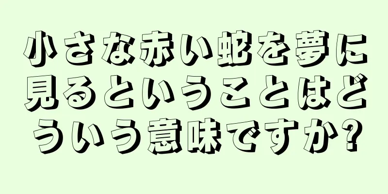 小さな赤い蛇を夢に見るということはどういう意味ですか?