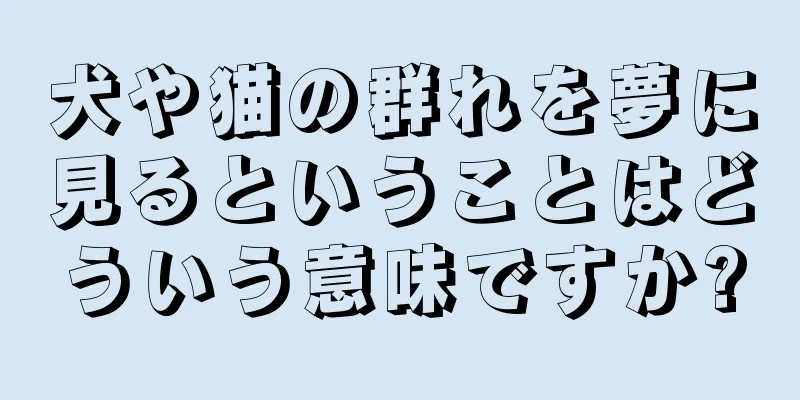 犬や猫の群れを夢に見るということはどういう意味ですか?