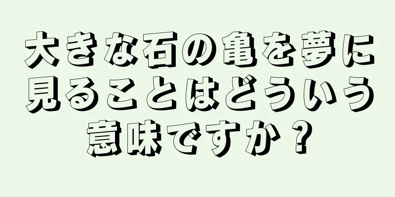 大きな石の亀を夢に見ることはどういう意味ですか？